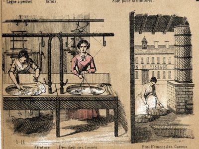 Mahsul ve ipek ürünlerinin tanımı: ipek ören, kozaları söken veya boğan işçiler. “Les Recreations Instructives” içindeki “la soie” levhası Jules DELBRUCK imzalı sinoptik resim, 1860 tarihli gravür. Özel koleksiyon. by French School