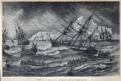 Keşfedilen Kanada: Newfoundland, Newfoundland Grand Bank