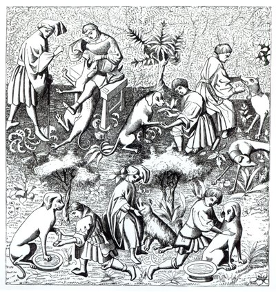 Gaston de Foix
