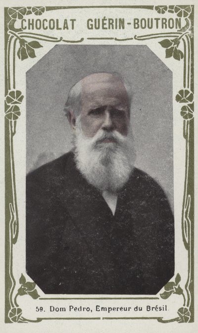Dom Pedro, Brezilya İmparatoru (renkli fotoğraf) by French School