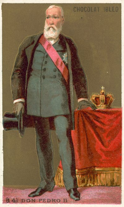 Don Pedro II, Brezilya İmparatoru by French School