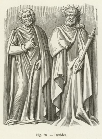 Druidler by French School