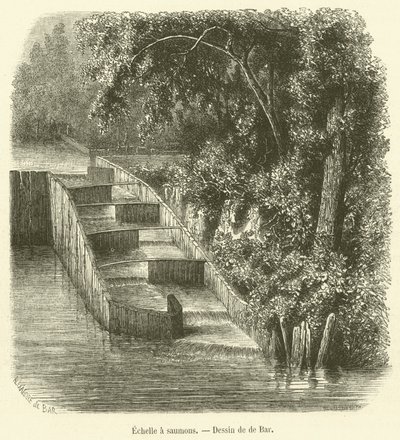 Somon merdiveni (gravür) by French School
