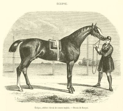 Eclipse, ünlü İngiliz yarış atı (gravür) by French School