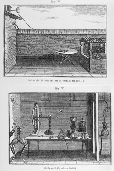 18. yüzyılın sonlarında Louis Galvani (1737-98) tarafından kurbağalar üzerinde deney by French School