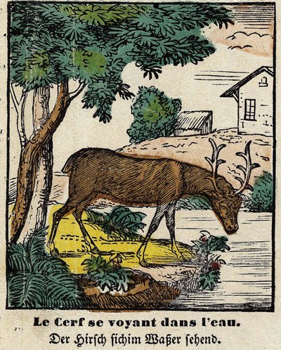 Fables de La Fontaine: kendilerini suda gören geyikler. Epinal
