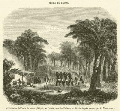 Whyda, Gine, Slave Coast