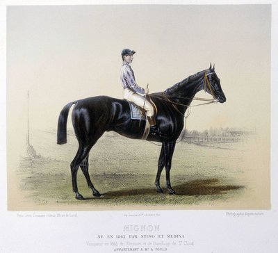 Ünlü yarış atı - “” Centaur”da” 1866 by French School