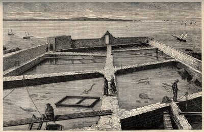 Concarneau