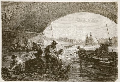 Seine