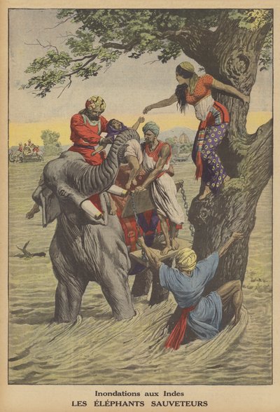 Hindistan