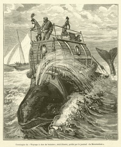 Bir balinanın arkasındaki Voyage