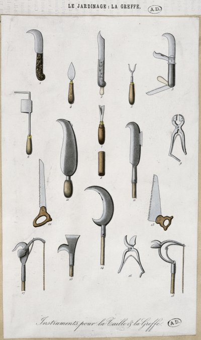 Aşılama ve budama için bahçe aletleri (renkli gravür) by French School