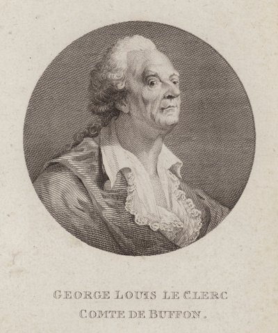 Georges-Louis Leclerc, Comte de Buffon, Fransız doğa bilimci (gravür) by French School