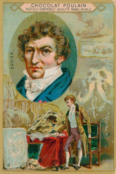 Georges küpü by French School