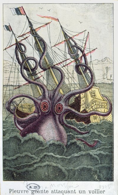 Dev Ahtapot, LHistoire Naturelle Generale et Particuliere des Mollusques, Denys-Montfort, c. 1802-03 by French School