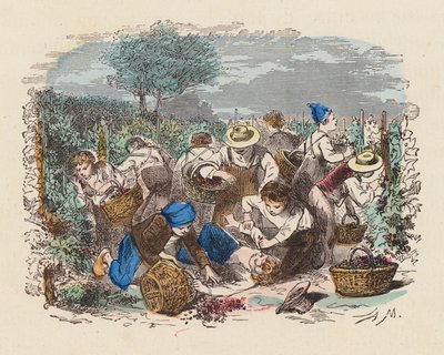 Bağda üzüm toplama (renkli gravür) by French School