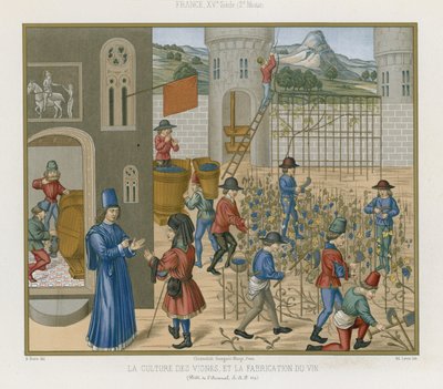 Asma yetiştirmek ve şarap yapmak by French School
