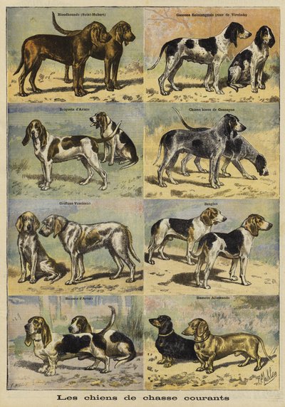 Silah köpekler by French School