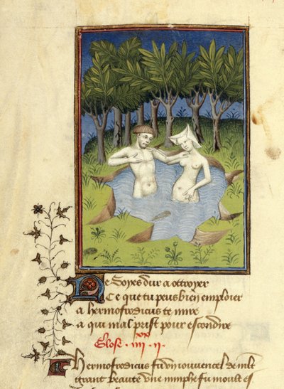 Harley MS 4431, f.132v, Bir gölde yıkanan Hermaphroditus ve perisi Salmacis