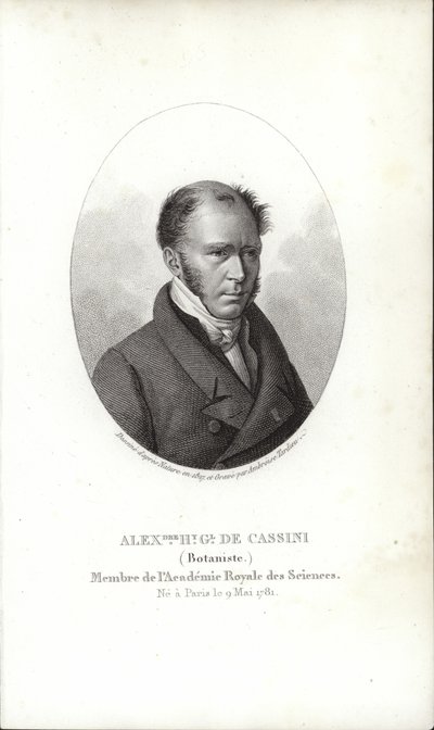 Henri cassini by French School
