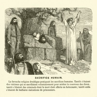 Druidlerin insan kurbanı (gravür) by French School