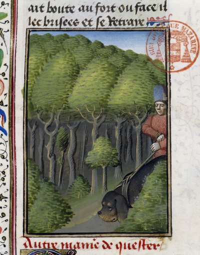 Av Köpeği - “” Gaston Phoebus