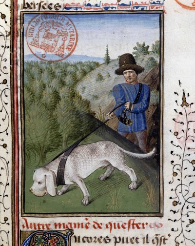 Gösterişli bir tasma ile tutulan av köpeği - “” Gaston Phoebus, Count of Foix, Lord of Béarn” tarafından yazılan Av Kitabı”nda by French School