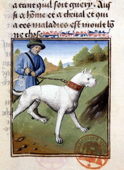 Tasmalı av köpeği - “” Gaston Phoebus, Count of Foix, Lord of Béarn” tarafından yazılan Av Kitabı”nda by French School