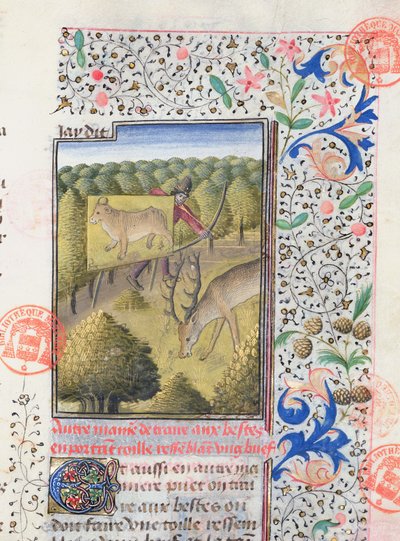Gaston Phebus de Foix