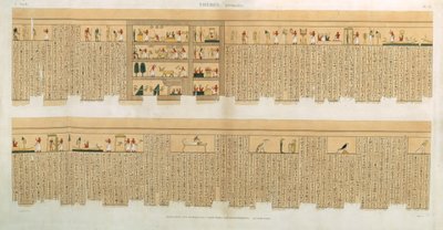 Hiyeroglif, Hypogees, Thebes içeren bir Pampus el yazmasının çizimleri, Willemin tarafından oyulmuş, 