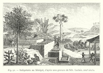 Senegal