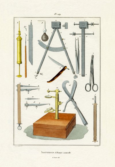 Aletler, 1833-39 by French School