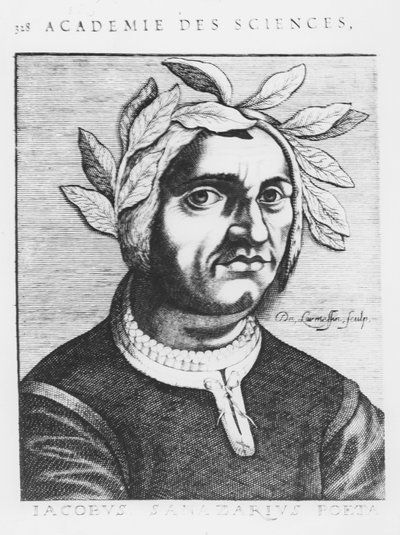 Jacopo Sannazaro (gravür) by French School