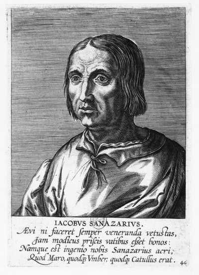 Jacopo Sannazaro (gravür) by French School