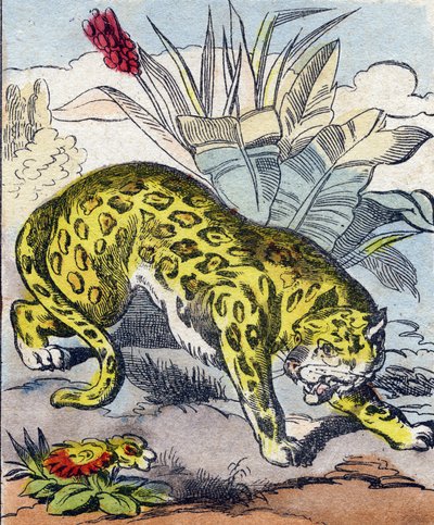 Jaguar. "Buffon Alphabet des Animaux" gravürü. 3. Seri N 1. Epinal