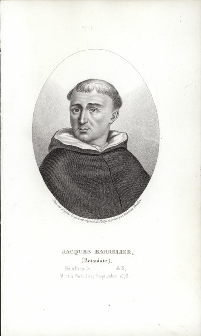 Jaques Bareli by French School