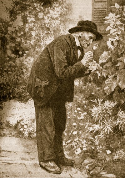 Jean-Henri Fabre böcekleri gözlemliyor by French School