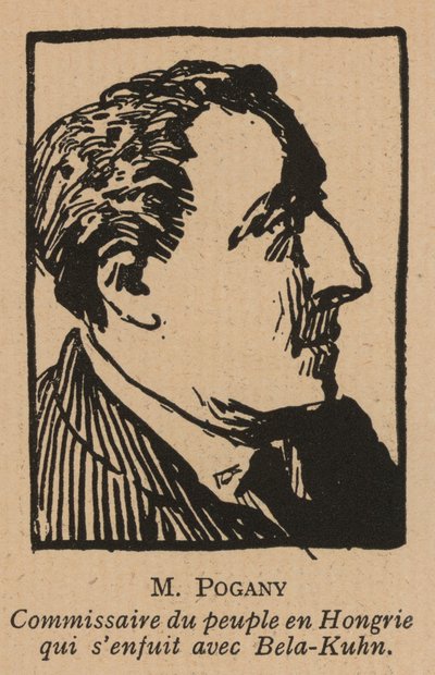 Jozsef Pogany, Macar komünist devrimci siyasetçi, 1919