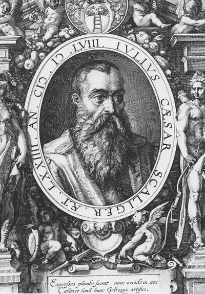 Julius Caesar Scaliger (gravür) by French School