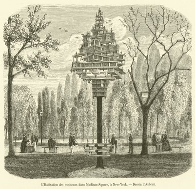 Madison Square, New York