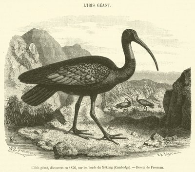 1876