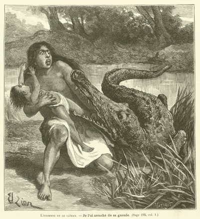 Kızılderili ve Kayman (gravür) by French School