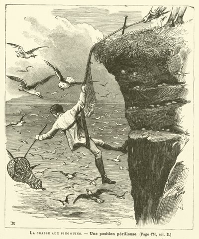 Penguen Avı (gravür) by French School