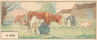 La Vache (renk üyeleri) by French School