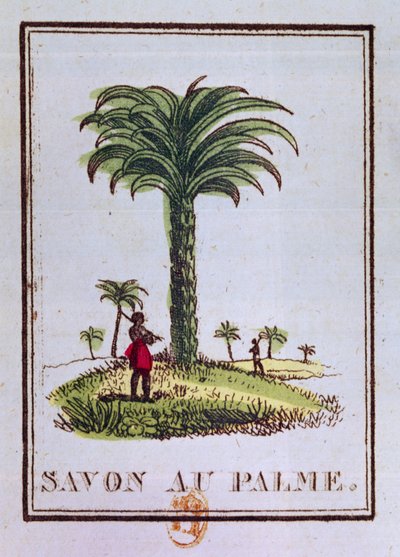 Palmiye ağacını gösteren, palmiye yağı kokulu sabun etiketi by French School