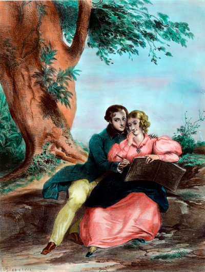 Manzara lecon. 19. yüzyıl gravürü. Özel koleksiyon. by French School