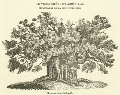 Allouville