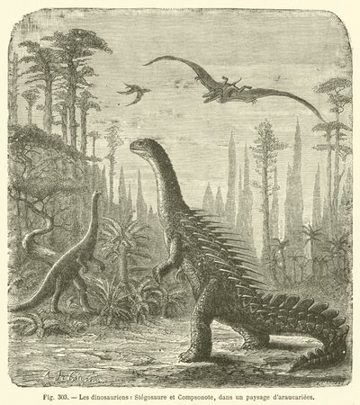 Dinozorlar, Stegosaurus ve Compsonote, Araucariae manzarasında (gravür) by French School