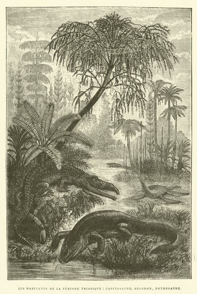 Triyas dönemi sakinleri, capitosaurus, belodon, nothosaurus (gravür) by French School